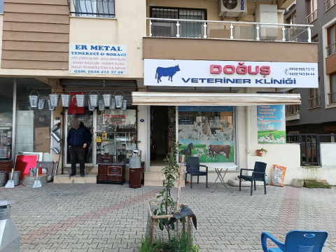 Doğuş Veteriner Kliniği | Çaycuma görseli