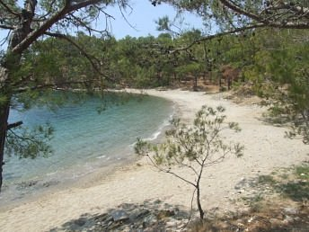 Dikilitaş Tabiat Parkı görseli