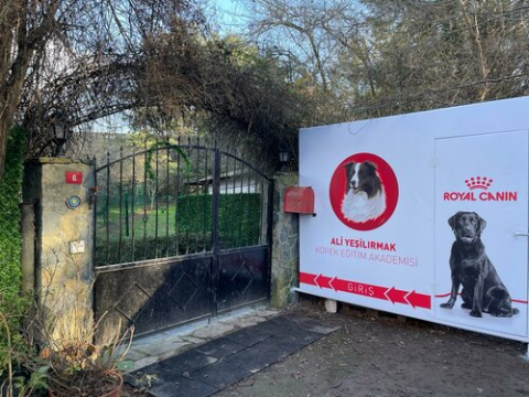 Ali Yeşilırmak Köpek Eğitim Akademisi görseli