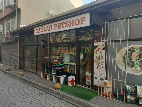 Çağlar Petshop görseli
