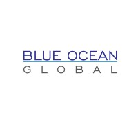Blue Ocean Global görseli