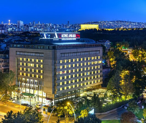 Altınel Hotels Ankara görseli