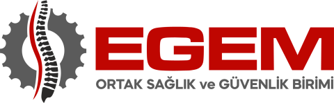Egem OSGB görseli