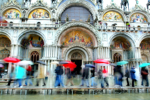 Bella Donna Venice görseli