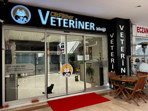 Ataşehir Veteriner Kliniği görseli