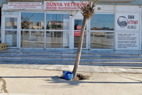 Dünya Veteriner Kliniği görseli