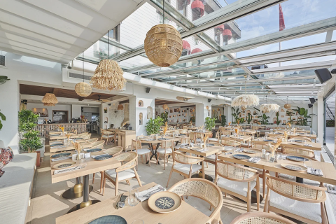 Danış Ethnic Restaurant görseli