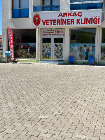 Arkaç Veteriner Kliniği görseli