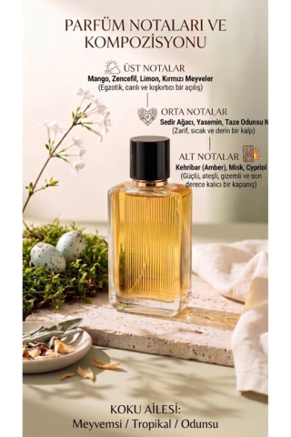 Best Perfume Kozmetik görseli