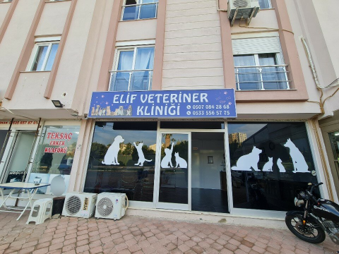Elif Veteriner Kliniği görseli