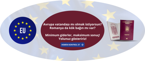 Abpasaportu.com görseli