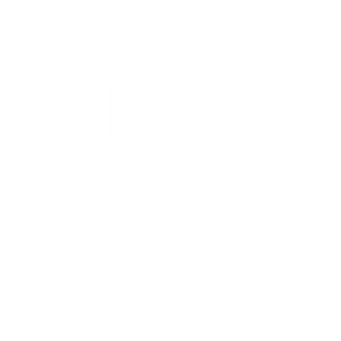 Budgsoft.com görseli