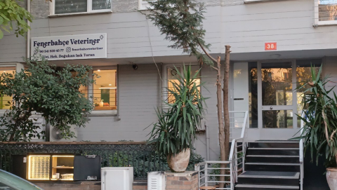 Fener Veteriner Kliniği görseli