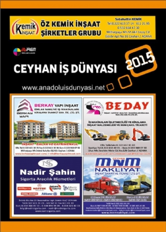 Anadoluisdunyasi.net görseli