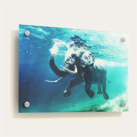 Custom Acrylic Design görseli