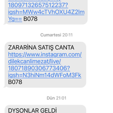 @dilekcanlimezat görseli