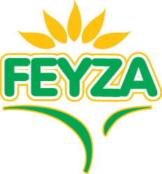 Feyza Çerezleri görseli