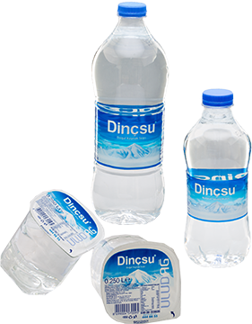 Dinçsu görseli