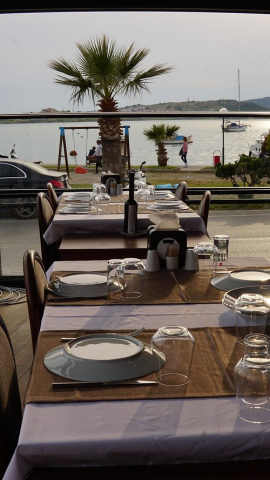 Bosfor Kanatçı Ayvalık görseli