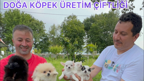 Doğa Köpek Üretim Çiftliği görseli