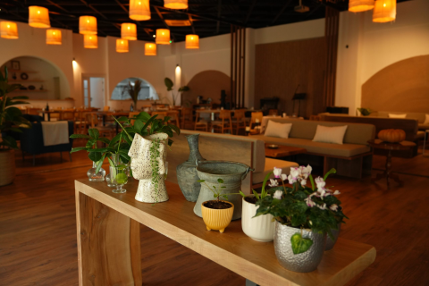 Cevizdibi Restaurant görseli