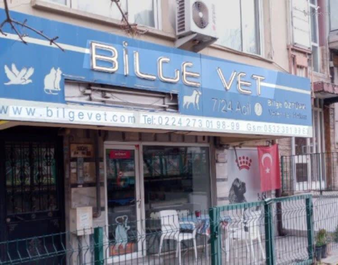 Bilgevet görseli