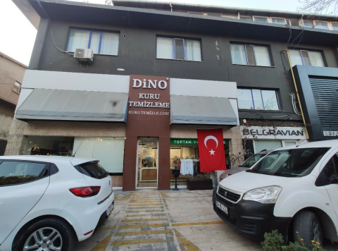 Dino Kuru Temizleme görseli