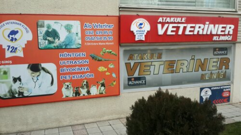 Atakule Veteriner Kliniği görseli
