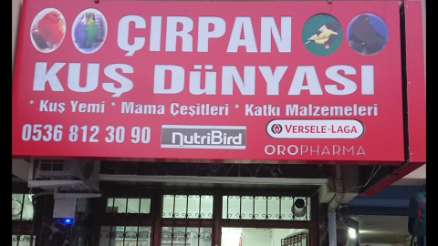 Çırpan Kuş Dünyası görseli