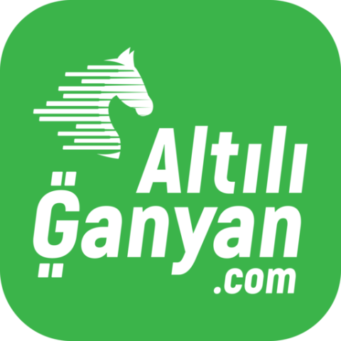 AltılıGanyan.com görseli