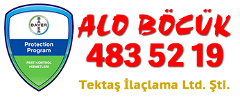 Alo Böcük (Tektaş İlaçlama) görseli