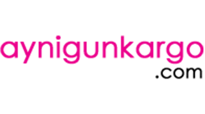 Aynigunkargo.com görseli