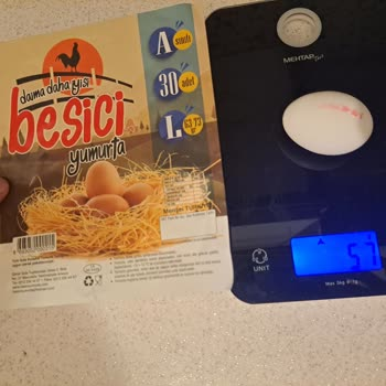 Besici Yumurta görseli