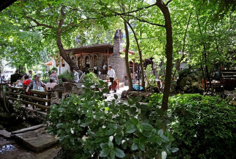 Çınar Restaurant görseli