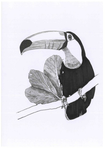Cansu Ertürk Ink görseli