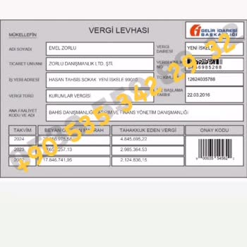 Emel Zorlu Danışmanlık görseli