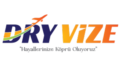 DryVize Danışmanlık görseli