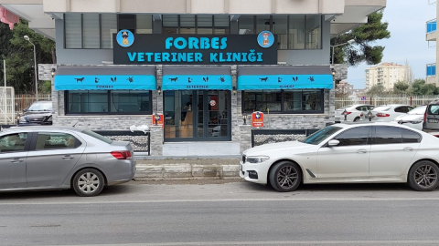 Forbes Veteriner Kliniği görseli
