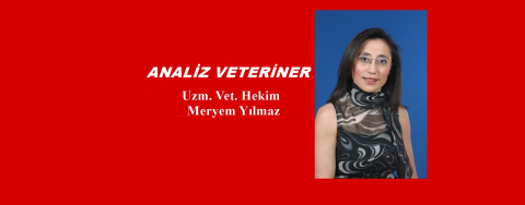 Analiz Veteriner görseli