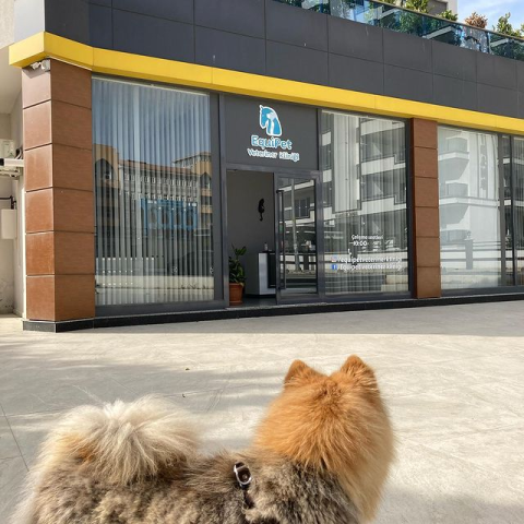 EquiPet Veteriner Kliniği (Tekirdağ) görseli