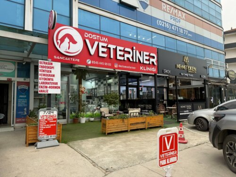 Dostum Veteriner Kliniği görseli