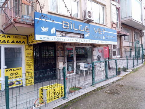 Bilge Veteriner Kliniği görseli