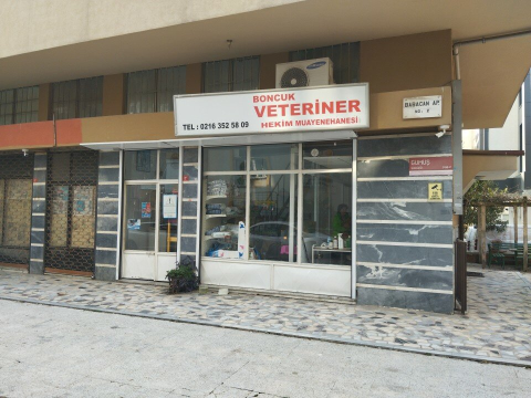 Boncuk Veterinerlik görseli