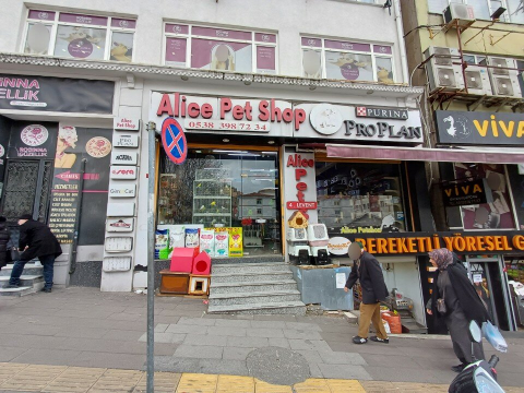 Alice Pet Shop görseli