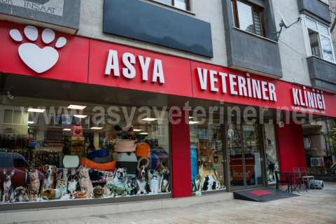 Asya Veteriner görseli