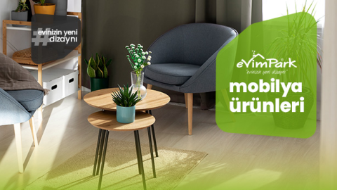 Evim Park Mobilya görseli