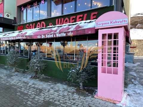 Dr. Salad & Waffle görseli