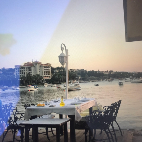 Ali'nin Yeri Ildırı Balık Restaurant görseli