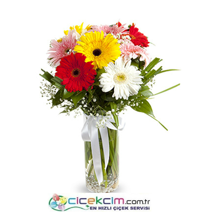 Cicekcim.com.tr görseli
