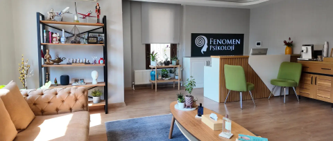 Fenomen Psikoloji görseli